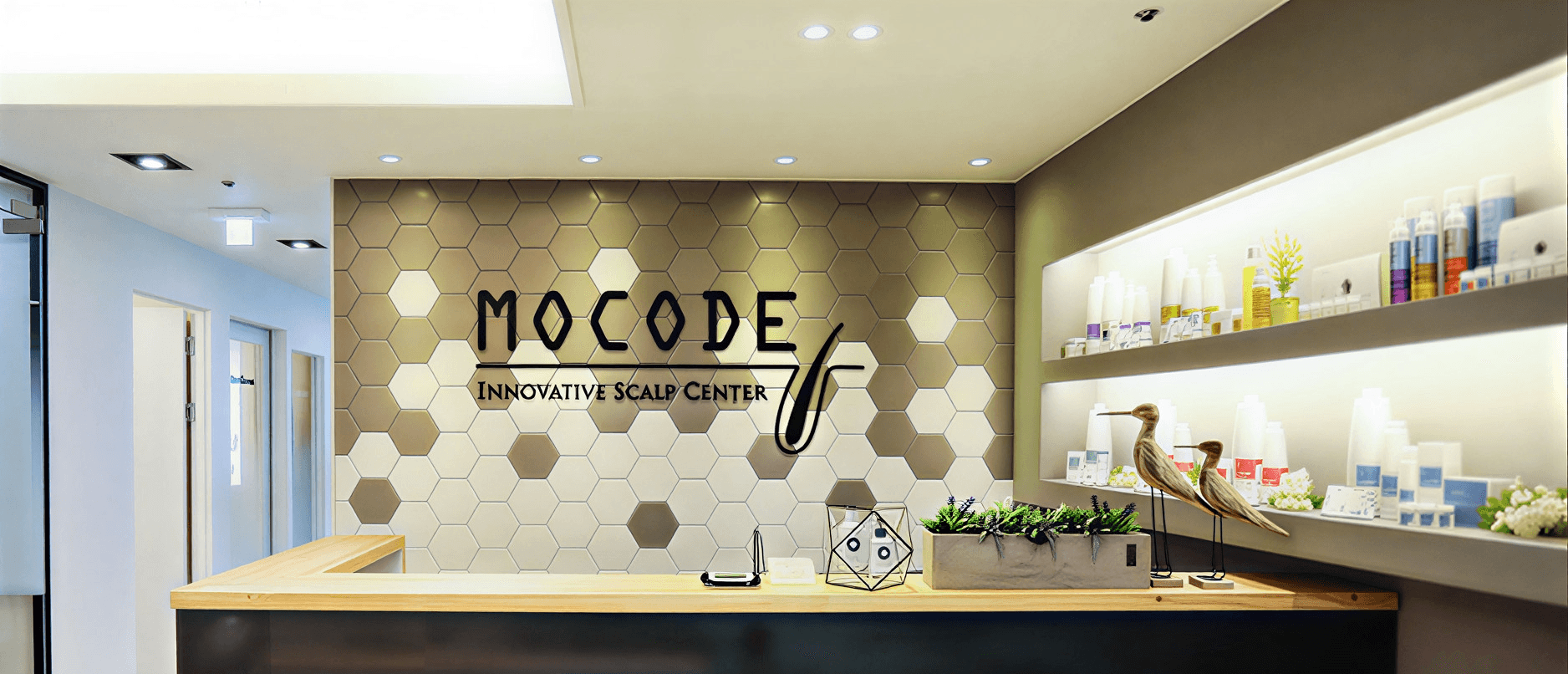 모코드 두피 케어 전문 매장