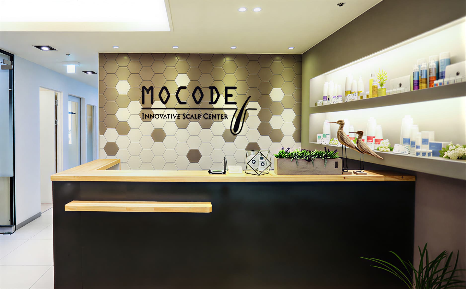 mocode-info-image